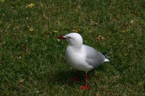 IMG_9409