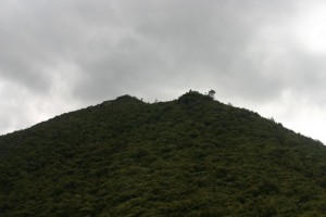 StaveleyHill